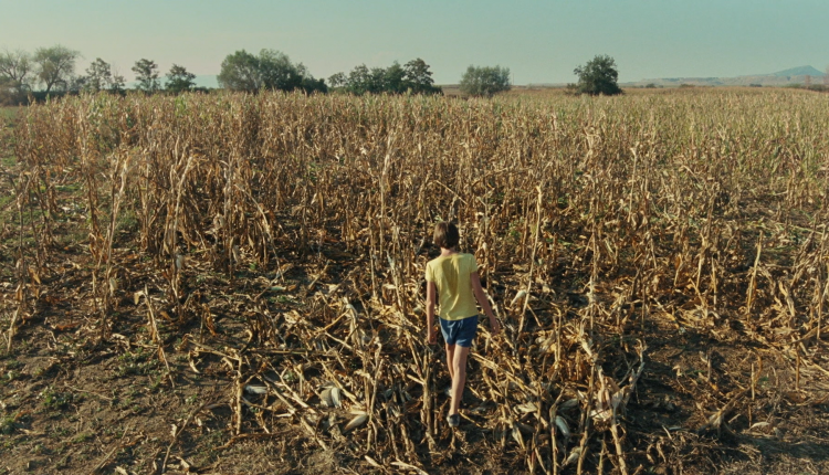 Le milieu de l'horizon